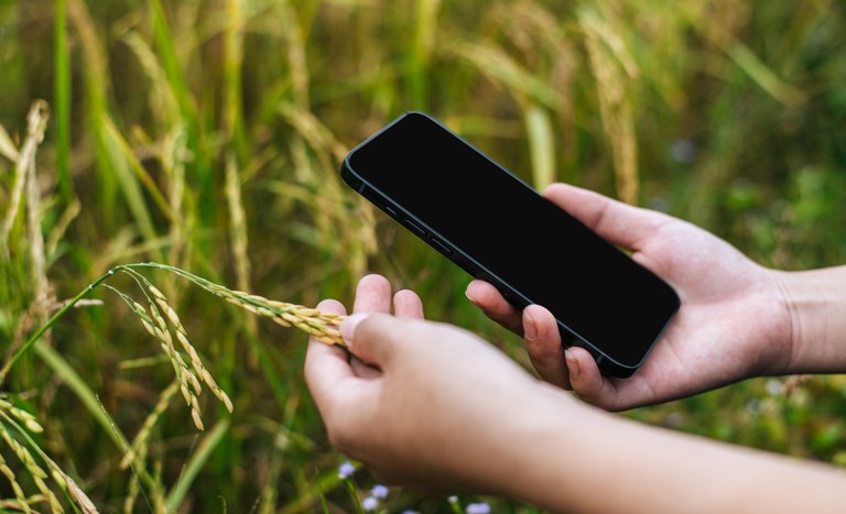 Uso de celular no campo