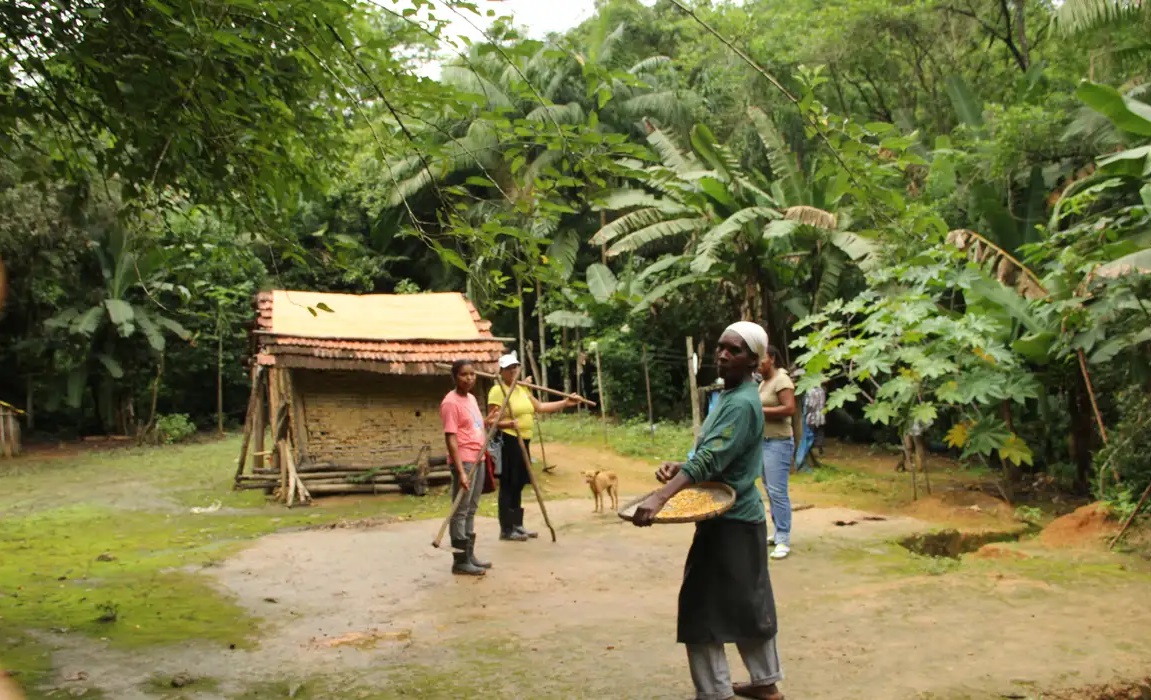 Regularização de terras quilombolas é reforçada com destinação de 58,3 mil hectares ao Incra