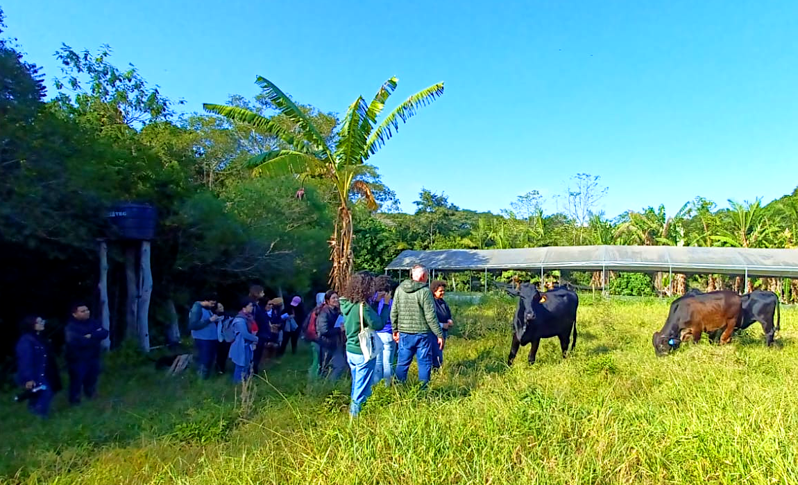 RS_RPPN_sonho_campones_julho2025.png