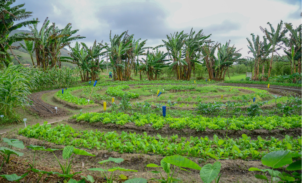 AL agroecologia mda