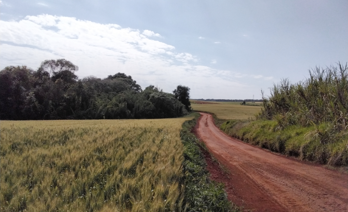 Resolução autoriza aquisição de imóvel rural para reforma agrária no Paraná
