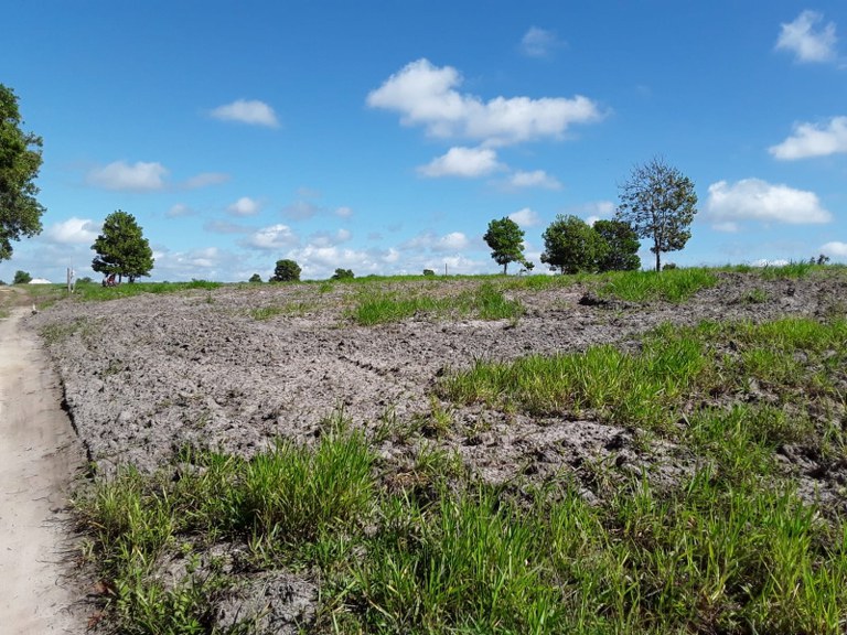 BA_assentamento Edite Xavier _1.jpg