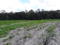 Anunciada seleção de 112 famílias para assentamento no Extremo Sul da Bahia