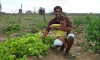 Seleções de famílias para assentamentos na Bahia têm listas publicadas