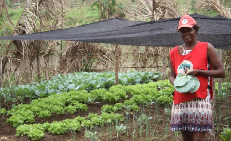 Marina Santos cultiva hortaliças no PDS Osvaldo de Oliveira