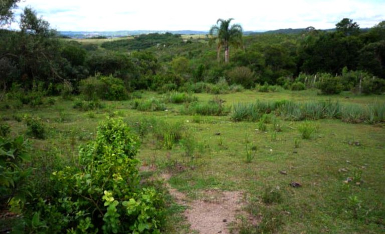 Fazenda Cachoeira
