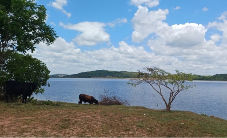 BA Pitanga Palmares 3