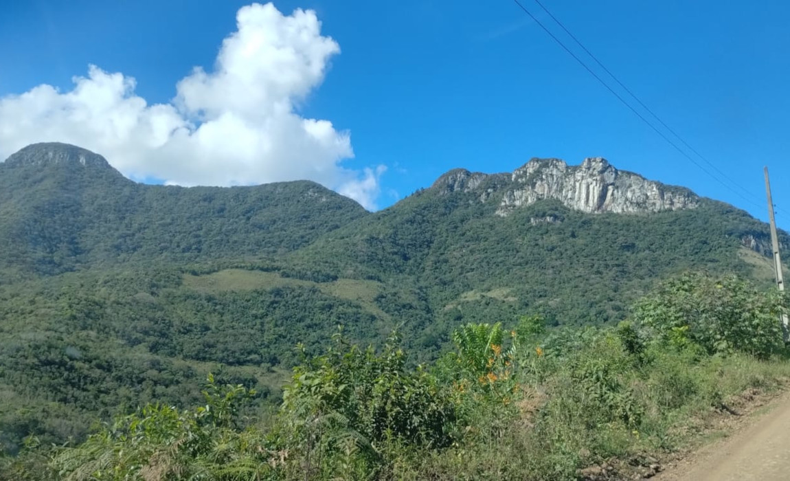 SC sao roque