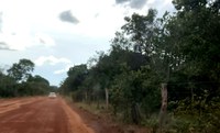 Tocantins tem a primeira imissão na posse de imóvel rural do ano
