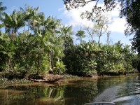 União Europeia e Incra selecionam consultoria para projeto fundiário