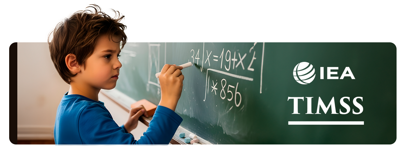 Capa da página TIMSS