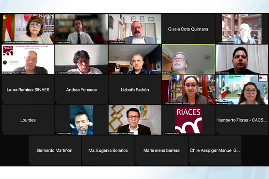 A reunião, por meio de videoconferência, definiu as orientações para a Convocatória 2021. Foto: Riaces/ Reprodução.