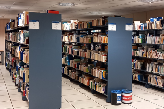 Acervo do Inep preserva informações de 43 anos de trabalhos relacionados ao desenvolvimento da educação brasileira, dividido em 53 séries documentais. Crédito: Ascom/Inep.