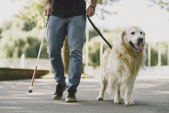 Mais de 52 mil solicitações de atendimento especializado foram feitas para o Exame Nacional do Ensino Médio (Enem) 2020. Crédito: Freepik