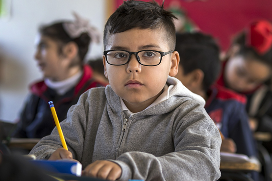 Módulo Confirmação de Matrícula está disponível no Sistema Educacenso até 21 de agosto