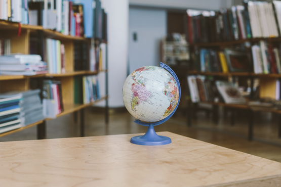 Reunião virtual discutiu a relevância da Talis no mundo pós-pandemia. Crédito: Pexels