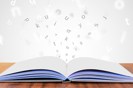 Documento prevê o aperfeiçoamento da integridade na gestão pública, a prevenção e o combate a fraudes e corrupção / Rodrigo Campos