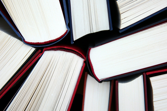 Instituições podem consultar a classificação final de cursos no Sistema Enade/Pixabay