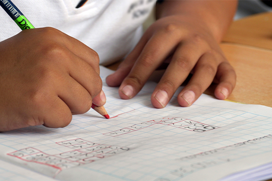 O sistema Educacenso ficará aberto até o dia 7 de abril para receber as informações referente à segunda etapa da pesquisa. Crédito: Pexels