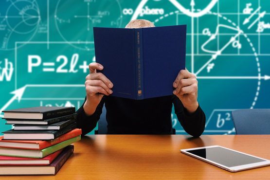 As informações serão usadas para cálculo de indicadores/Pixabay