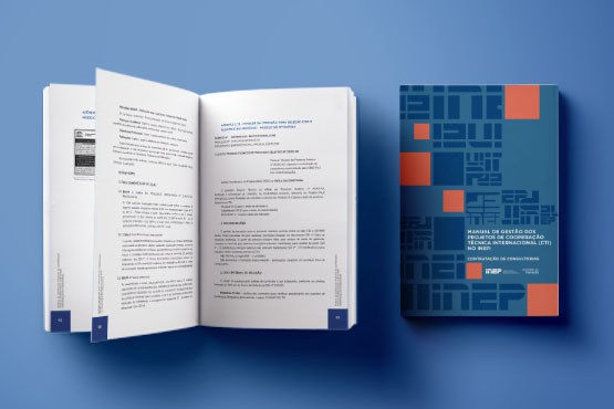 Publicação está disponível no portal do Inep. Crédito: Reprodução/ Inep.