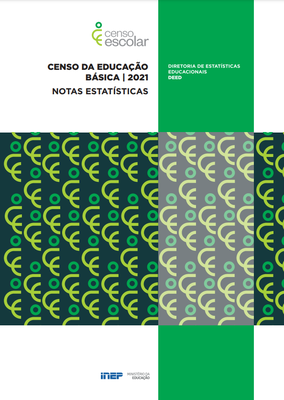 notas estatisticas censo basico 2020.png