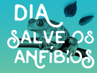“Dia Salve os Anfíbios” tem programação especial no INMA