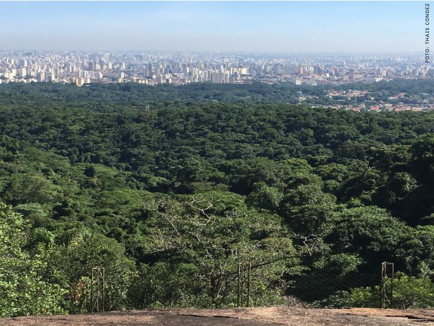 São Paulo