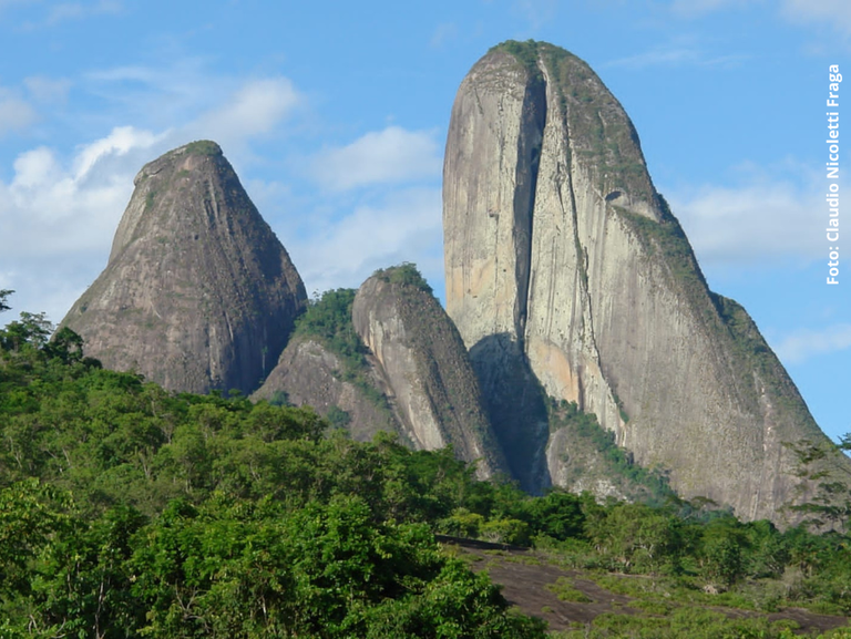 Inselbergs da Mata Atlântica Capixaba servem de refúgio para epífitas