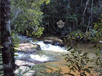 Bate-papo com pesquisadores do INMA celebra Dia da Mata Atlântica