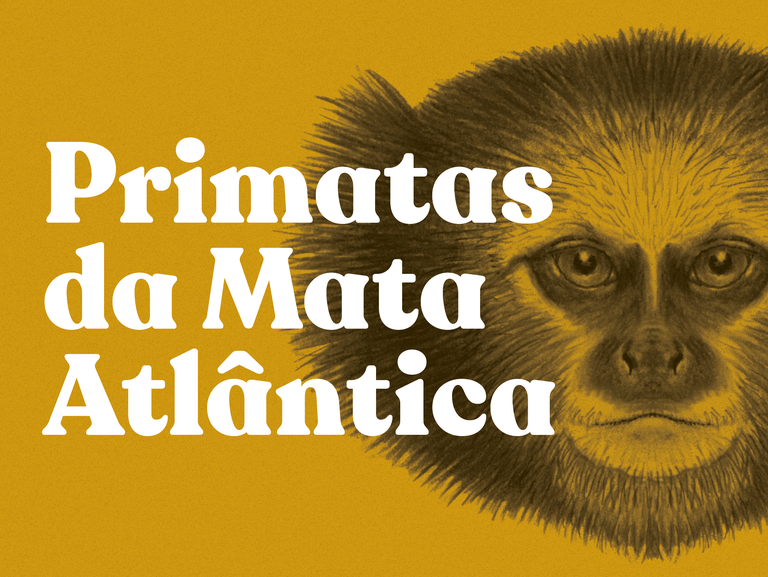 Primatas da Mata Atlântica