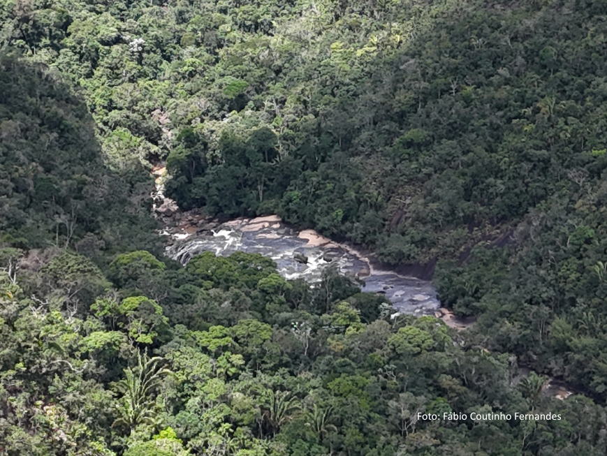 Valor vai financiar projetos que visam o estudo da biodiversidade da Mata Atlântica com uso de tecnologias de ponta