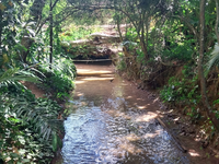 INMA celebra Dia Mundial da Água com atividade especial no dia 24 de março, domingo, em Santa Teresa/ES