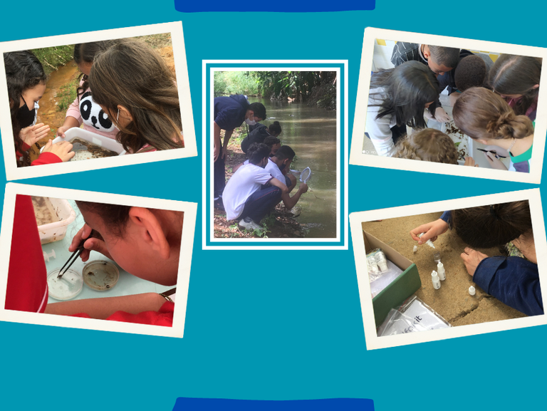 Dia Mundial da Água