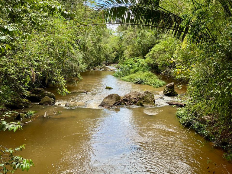 Projetos do INMA são contemplados com recursos da FAPES