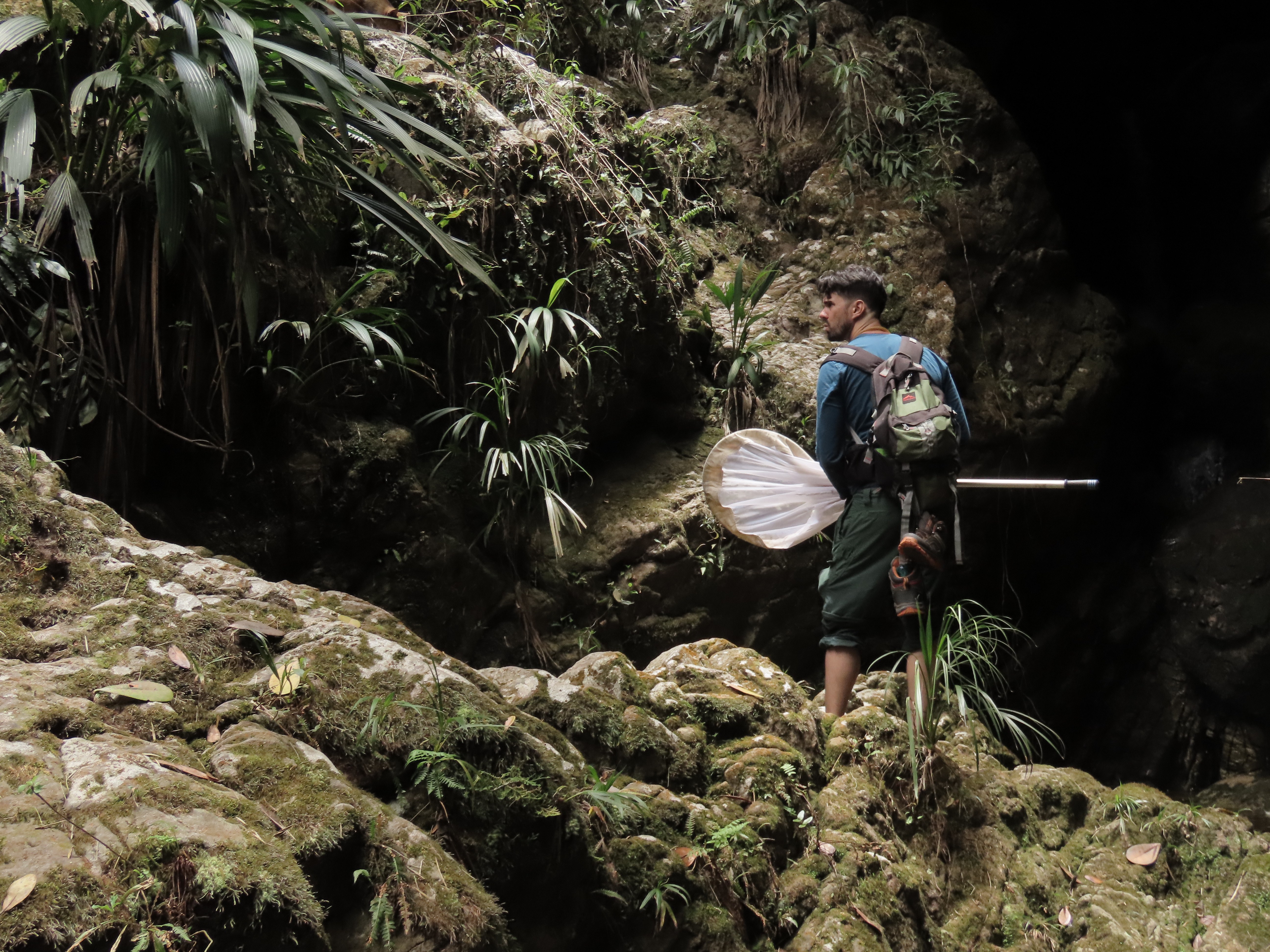 Pesquisador Danilo Pacheco em trabalho de coleta na Serra do Padre Ângelo, em Minas Gerais