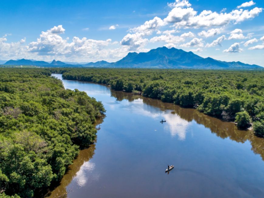 Imagem panorâmica de uma paisagem natural. Um rio de águas tranquilas e escuras e uma extensa área de vegetação verde e densa.