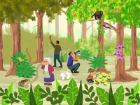 Mais de 2.300 cientistas cidadãos colaboram com levantamentos de biodiversidade da Mata Atlântica