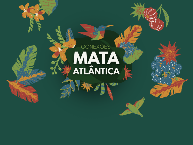Conexões Mata Atlântica