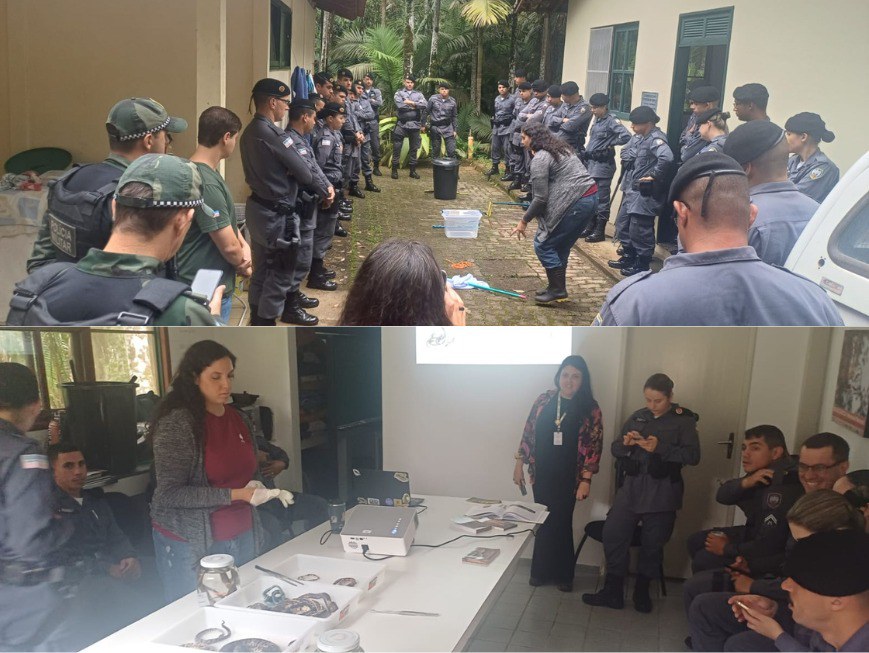 Policiais aprenderam a identificar e manejar animais silvestres