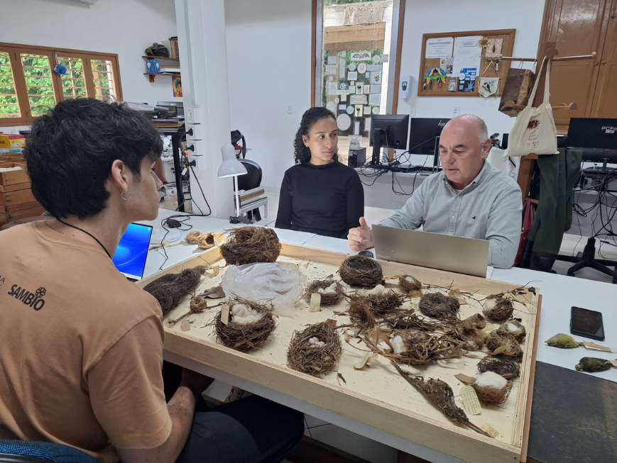 Pesquisadores da Universidade de Brasília avaliam coleção de ovos e ninhos do Museu de Biologia Professor Mello Leitão