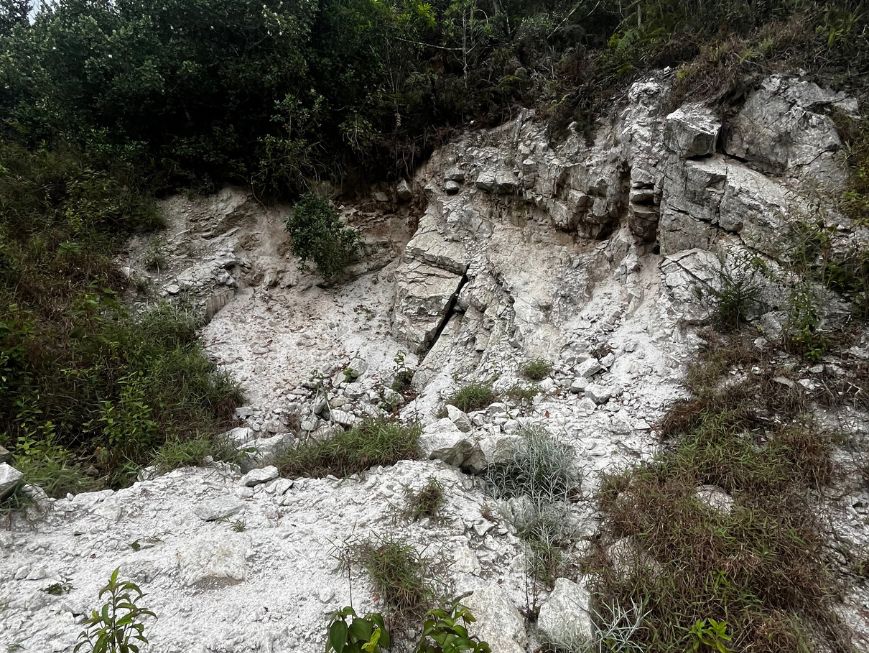 Área de afloramento rochoso de coloração branca, com paredões irregulares e blocos de rocha expostos. Há vegetação arbustiva e pequenas árvores ao redor da formação