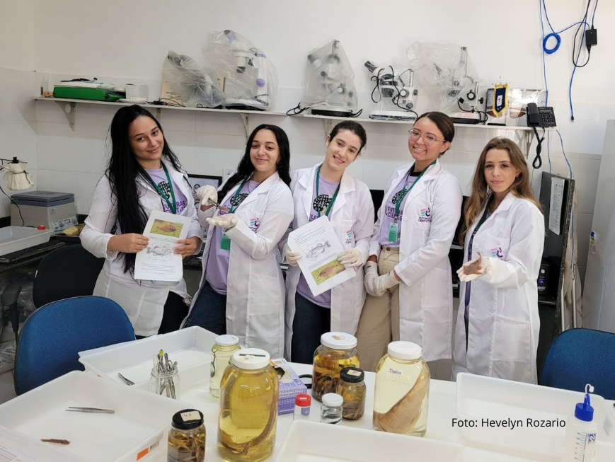 Estudantes do ensino médio participaram de programa de imersão científica no Instituto Nacional da Mata Atlântica