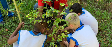 Alunos de escolas municipais de Xerém visitam o Campus, fazem trilha e plantam mudas de árvores