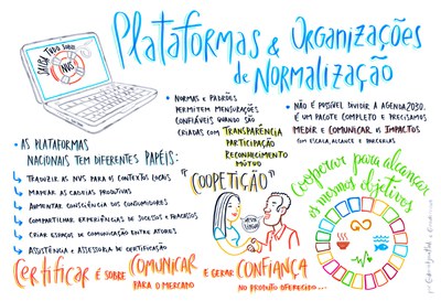 painel 6 - plataformas nacionais