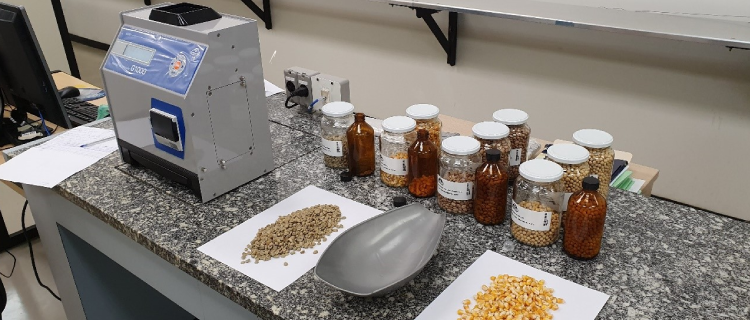 Com a consulta pública sobre a Regulamentação Técnica Metrológica de medidores de umidade de grãos, o Inmetro visa contribuir para o aumento da eficiência na comercialização dos grãos de arroz, café, feijão, milho e soja