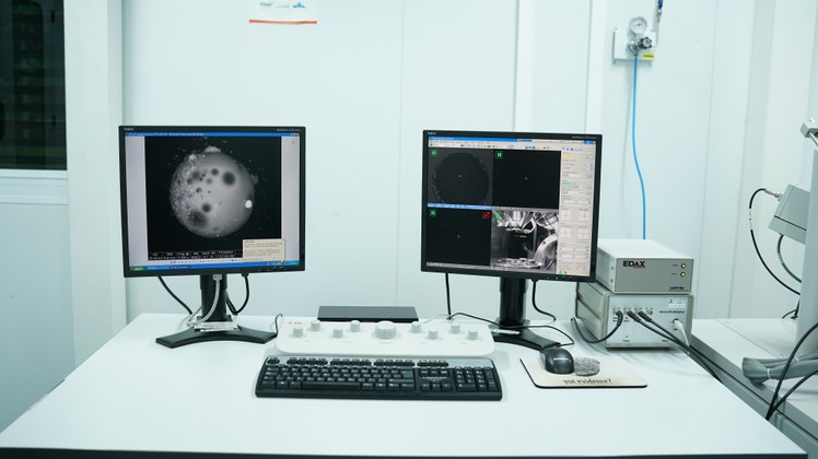 Imagem microscópica gerada pela Divisão de Metrologia em Biologia (Dibio) do Inmetro