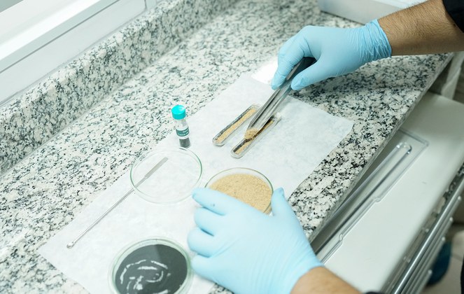 Estudo sobre a obtenção de nanoplacas de grafeno por meio de processamento de biomassas, da pesquisadora do Inmetro, Joyce Araújo, foi agraciado com o prêmio “25 Mulheres na Ciência” de 2024