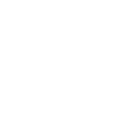 Fiscalização de Produtos Regulamentados.png