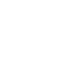 Fiscalização de Serviços Regulamentados.png